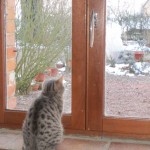 Derrière la fenêtre quel temps va-t-il faire ?